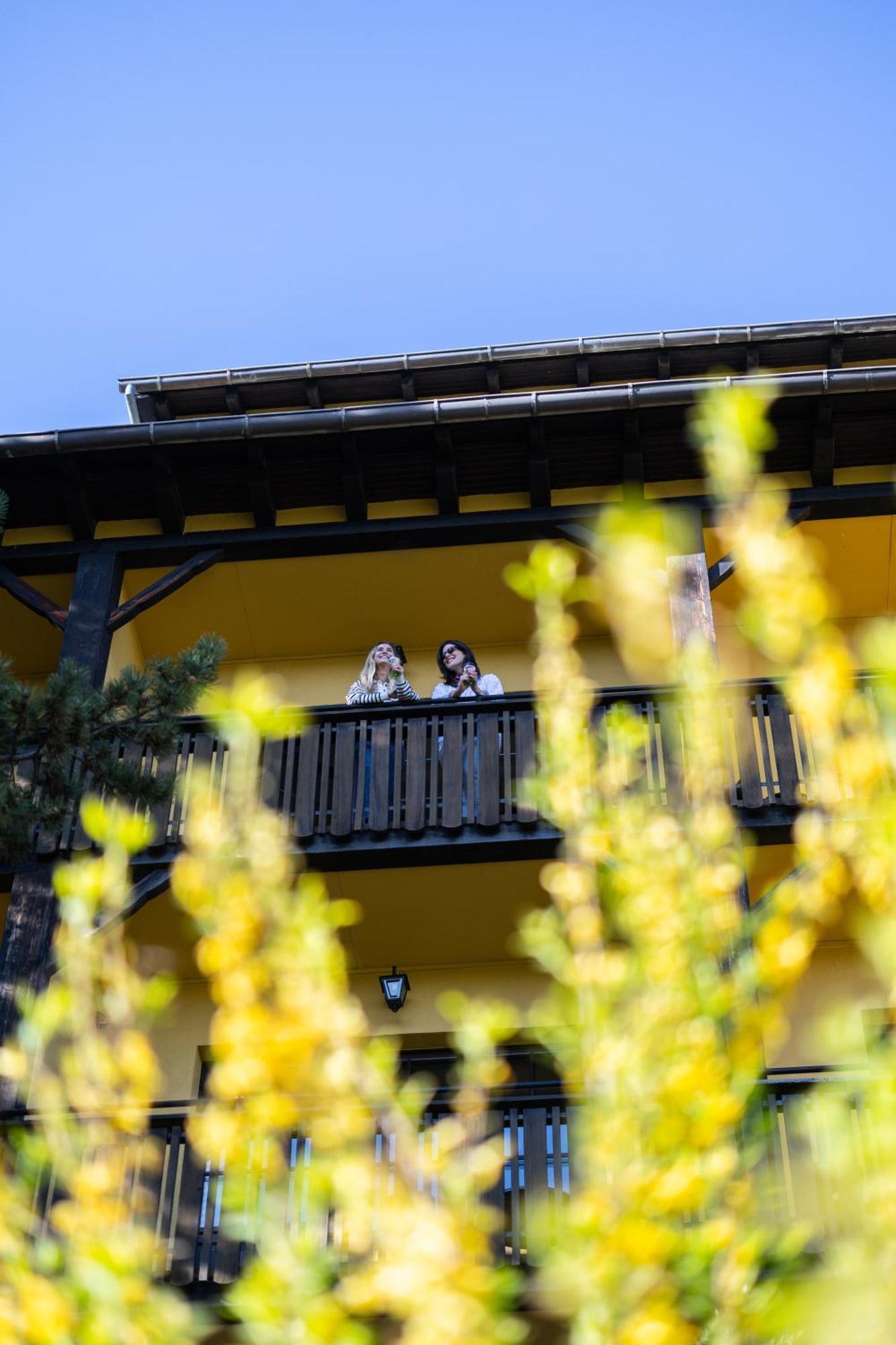 Hotel Arnold Itterswiller Dış mekan fotoğraf